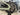 Focus Vam2 SL 9.8 2024 - Shimano XT 1x12sp - RaceFace ARC27