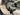 Focus Vam2 SL 9.8 2024 - Shimano XT 1x12sp - RaceFace ARC27