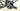 CERVÉLO Caledonia 2026 - Shimano 105 2x12sp - Vision Team i23 Disc