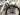Focus Vam2 SL 9.8 2024 - Shimano XT 1x12sp - RaceFace ARC27