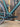 BIANCHI Arcadex PRO 2025 - Sram GX AXS 1x12sp - Veloman Termbium Carbon