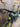 Giant Defy Advanced PRO 1 2019 - Shimano Ultegra R8000 - Giant