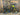 Giant Defy Advanced Pro 1 2019 - Shimano Ultegra R8000 - Giant PR2 Disc