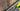 Giant Defy Advanced PRO 1 2019 - Shimano Ultegra R8000 - Giant