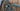 Giant Trance SX E+ 1 PRO 2020 - Shimano Deore 12sp