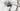 Cannondale Synapse Carbon 4 2025 - Shimano 105 Di2 2x12sp - DT Swiss R470