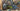 Giant Defy Advanced PRO 1 2019 - Shimano Ultegra R8000 - Giant