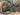 Giant Defy Advanced PRO 1 2019 - Shimano Ultegra R8000 - Giant