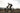 Megamo Raise 15 2025 - Shimano 105 2x12sp - Fulcrum Racing 800 DB