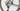 Cannondale Topstone Carbon 3 2025 - Shimano GRX 1x12sp - WTB ST i25