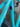 BIANCHI Zolder 2024 - Shimano GRX - Veloman
