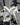 Megamo Raise 15 2025 - Shimano 105 2x12sp - Fulcrum Racing 800 DB
