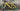 Specialized Diverge FACT Carbon 8R 2024 - Shimano GRX 11-speed - DT Swiss G 540