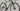 Cannondale Topstone 2 2025 - Shimano GRX 2x10sp - GXD 1.0