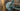 Bianchi Arcadex Pro Test Bikes 2026 - Sram Rival AXS E1 1x13sp - Velomann V24G Aluminium
