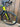 Giant Defy Advanced PRO 1 2019 - Shimano Ultegra R8000 - Giant