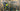 Giant Defy Advanced PRO 1 2019 - Shimano Ultegra R8000 - Giant