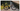 Wilier Rave SL 2026 - Shimano GRX 1x12sp - Miche Graff
