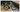Wilier Rave SL 2026 - Shimano GRX 1x12sp - Miche Graff