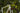 Megamo West 10 2025 - SRAM Apex Eagle 1x12sp - Megamo Gravel GR 700 TLR