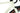 Megamo Silk 02 2026 - SRAM Rival XPLR AXS 1x13sp Power Meter - Zipp 303 XPLR SW