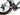 Ridley Triton Fast 2026 size S Sram Red AXS E1 2x12sp TT PM