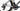 Ridley Triton Fast 2026 size XS Sram Red AXS E1 2x12sp TT PM