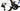 Colnago Y1RS 2026 size XS Shimano Dura-Ace Di2 2x12sp