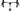 Colnago Y1RS 2026 size XS Sram Force AXS E1 2x12s