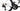 Colnago Y1RS 2026 size XL Shimano Ultegra Di2 2x12sp