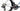 Bianchi Specialissima RC  2026 size 55 Sram Red AXS E1 2x12sp