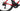 Wilier Filante SLR  2026 size S Shimano Dura-Ace Di2 2x12sp