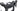 Colnago V5RS 2025 B. McNulty size 550 UAE Team Emirates Shimano Dura-Ace Di2 2x12sp, condition detail