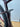 Lee Cougan Rampage Innova 2024 - Sram XX1 Eagle 1x12sp