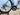 Argon 18 Nitrogen Disc 2019