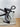Bottecchia Aerospace 65RD 2021