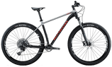 Bottecchia Gavia 29 2023 - Sram SX Disc 1x12sp - Raxe 29 TL30 - 2 - Bikeroom